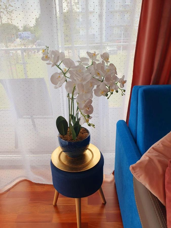 Apartament Comfort I Колобжег Экстерьер фото